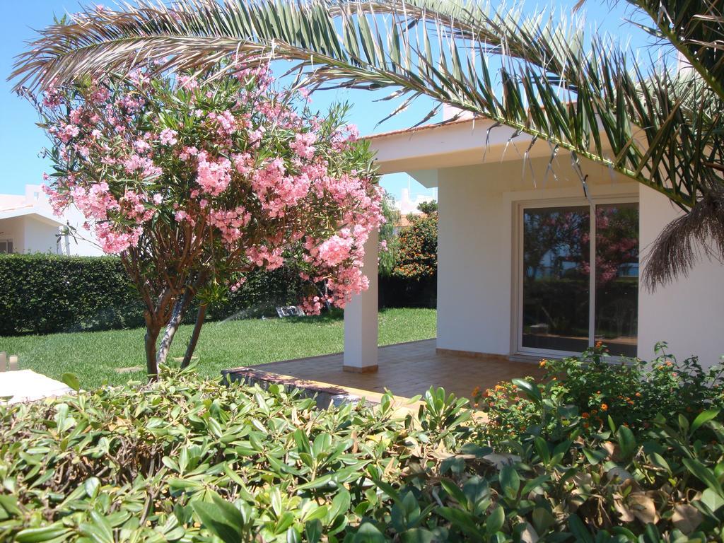 Cala Vigliena Il Sole Negli Occhi Villa Punta Braccetto Room photo